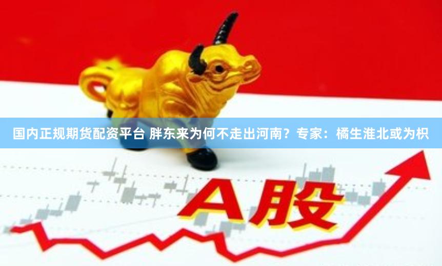 国内正规期货配资平台 胖东来为何不走出河南？专家：橘生淮北或为枳
