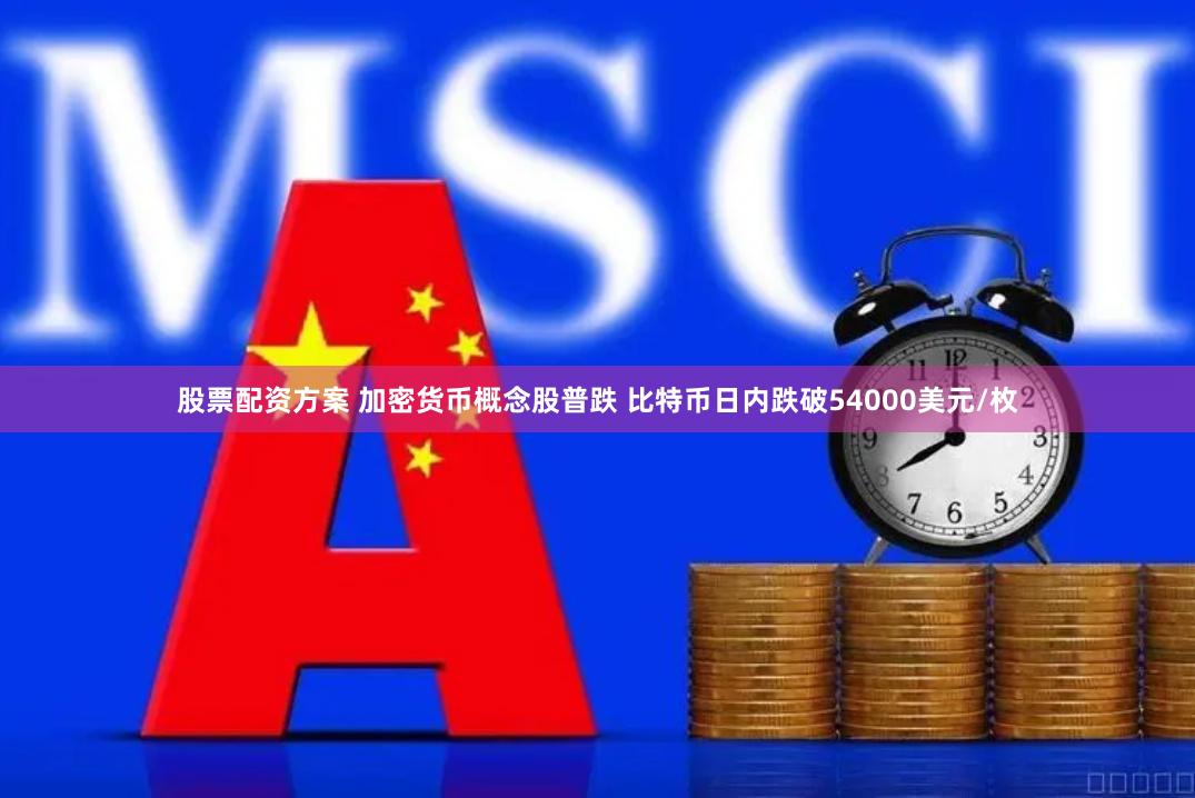 股票配资方案 加密货币概念股普跌 比特币日内跌破54000美元/枚