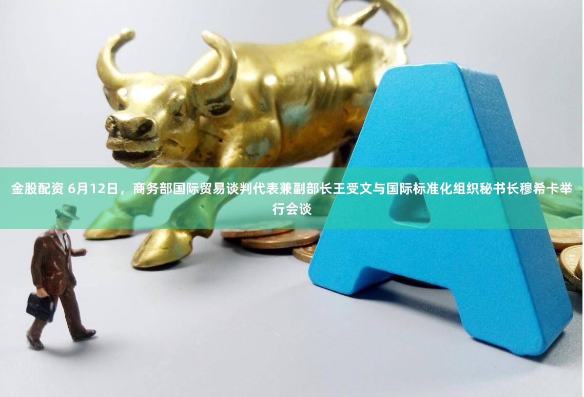 金股配资 6月12日，商务部国际贸易谈判代表兼副部长王受文与国际标准化组织秘书长穆希卡举行会谈