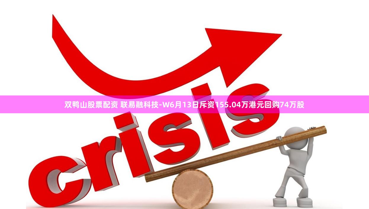 双鸭山股票配资 联易融科技-W6月13日斥资155.04万港元回购74万股