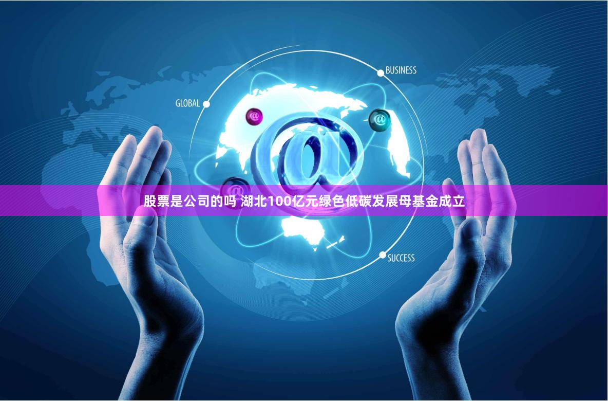 股票是公司的吗 湖北100亿元绿色低碳发展母基金成立