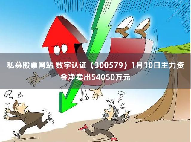 私募股票网站 数字认证（300579）1月10日主力资金净卖出54050万元