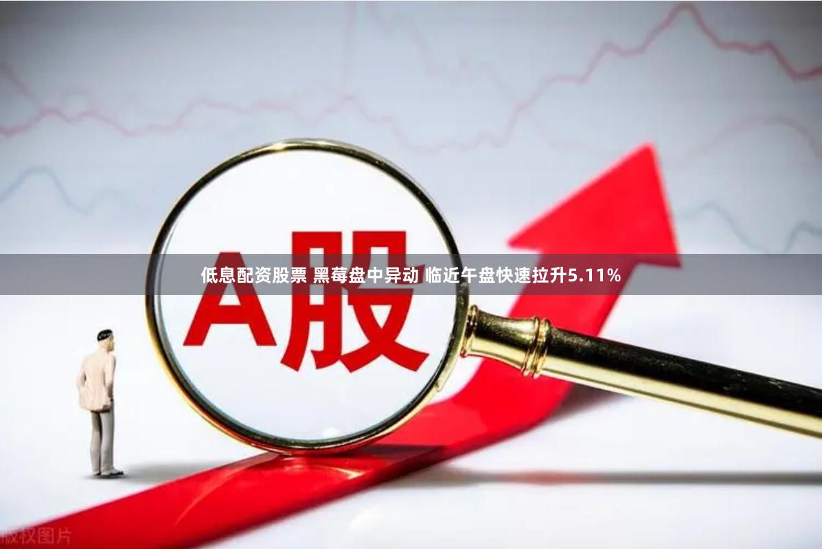 低息配资股票 黑莓盘中异动 临近午盘快速拉升5.11%